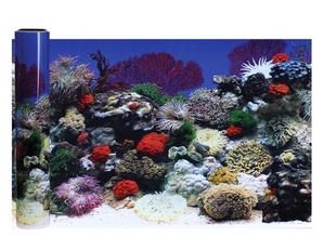 백스크린 산호[높이 38cm , 넓이 30cm] 