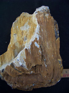 목화석[1kg]  
